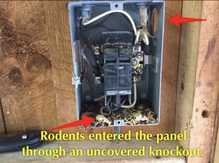 20211111_123728000_iOS